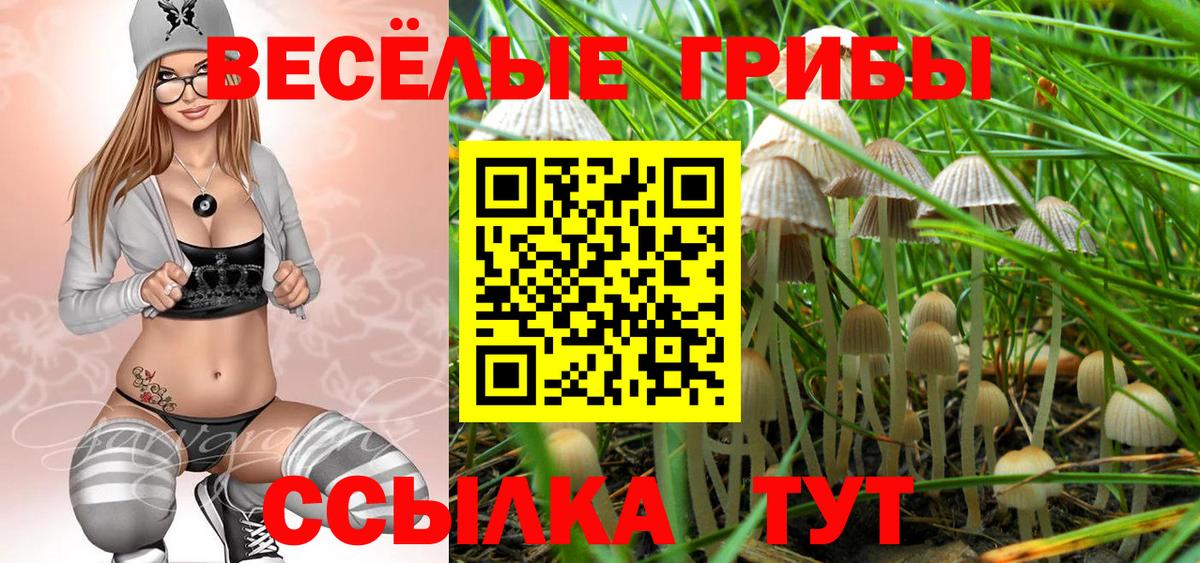 Псилоцибиновые грибы GOLDEN TEACHER Корсаков