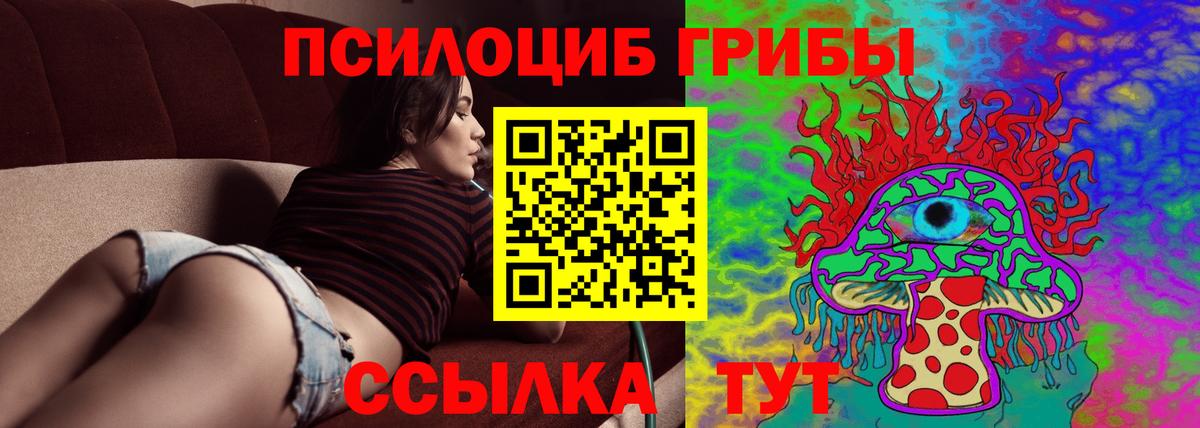 Галлюциногенные грибы Psilocybe  Вход с VPN  Галлюциногенные грибы MAGIC MUSHROOMS  Корсаков 